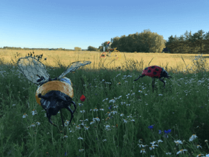 Bierne og blomsterne-Fuglsang B+B